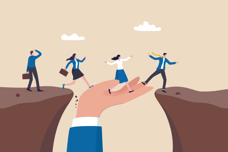 Bridge of Mentorship Bridge of Mentorship